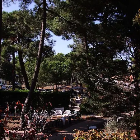 Le Palmyr'hotel Hotell